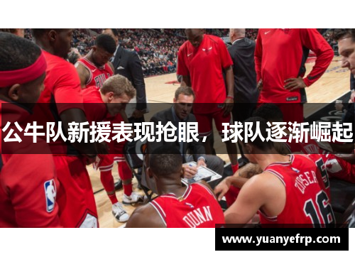 公牛队新援表现抢眼，球队逐渐崛起