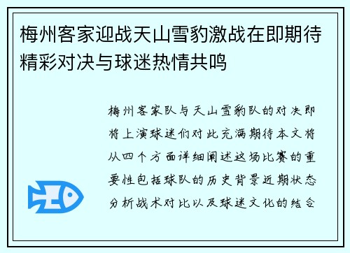 梅州客家迎战天山雪豹激战在即期待精彩对决与球迷热情共鸣