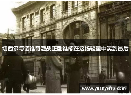 切西尔与诺维奇激战正酣谁能在这场较量中笑到最后